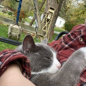 Meet your Posher, Abbie